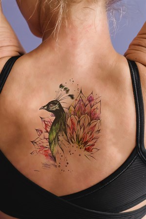 Geçici Tavus Kuşu Dövme Tattoo